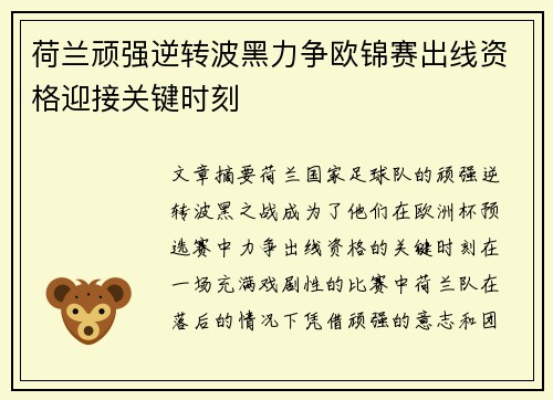 荷兰顽强逆转波黑力争欧锦赛出线资格迎接关键时刻