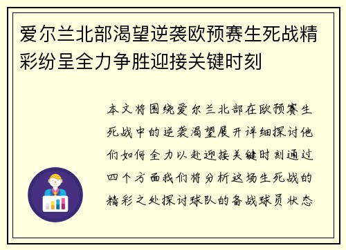 爱尔兰北部渴望逆袭欧预赛生死战精彩纷呈全力争胜迎接关键时刻