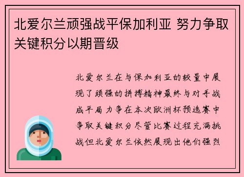 北爱尔兰顽强战平保加利亚 努力争取关键积分以期晋级